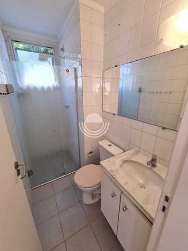 Imagem 10 de 24 de Apartamento À Venda Em Vila Ipê - Ap007845