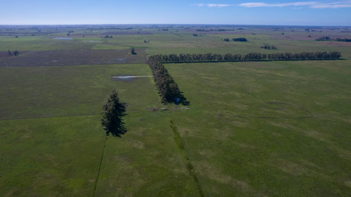Campo En Venta Mixto 188ha San Andres De Giles