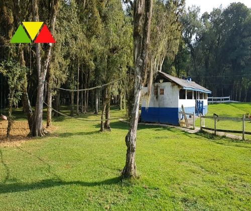 Imagem 17 de 30 de Chácara Em Cai De Baixo - Ch00088 - 34982990