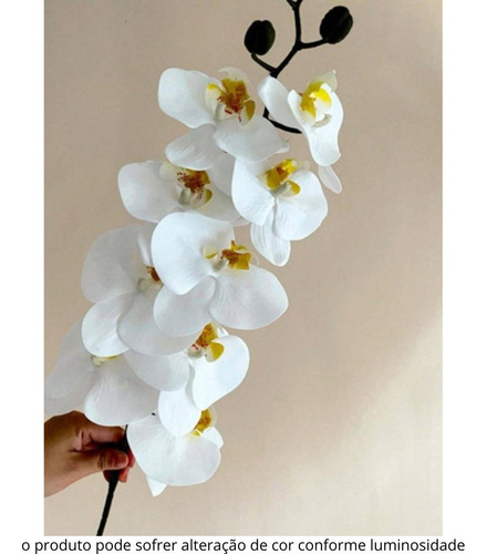 Haste De Orquidea Phalaenopsis Amabilis Branca X9 72cm
