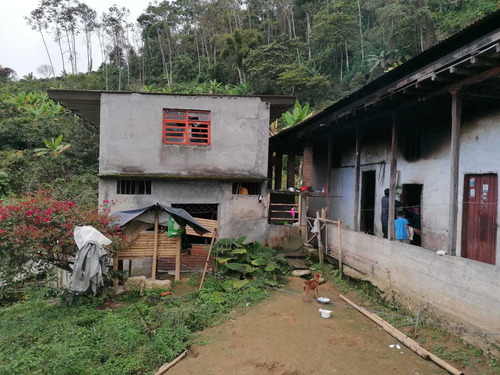 Venta Finca Cordoba Quindio Cod: 3568783