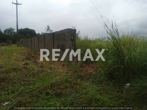 Imagen 1 de 8 de Venta De Terreno En Higuerote