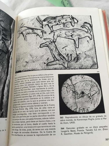 Enciclopedia Ilustrada Del Hombre Prehistórico Jan Jelinek (Usado)