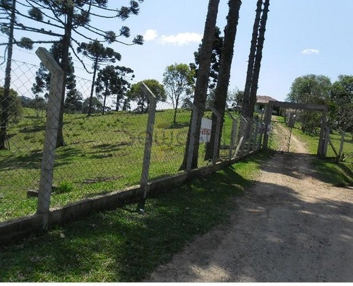 Chácara A Venda No Bairro Pamitalzinho Em Quatro Barras - - 5456-1