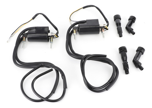 21171-1019 Ignition Coil Set 211211174/211211001