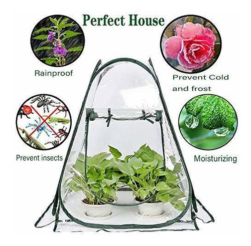 Mini Invernadero Pequeño Para Plantas Al Aire Libre Interior