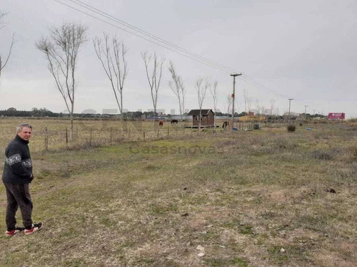 Imagen 4 de 4 de Venta Finca 6 Ha . Aguas Verdes, La Lucila, Bs.as. Costa Atlántica