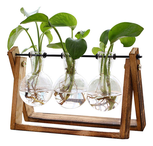 Terrario For Plantas Con Soporte De Madera, Macetero De