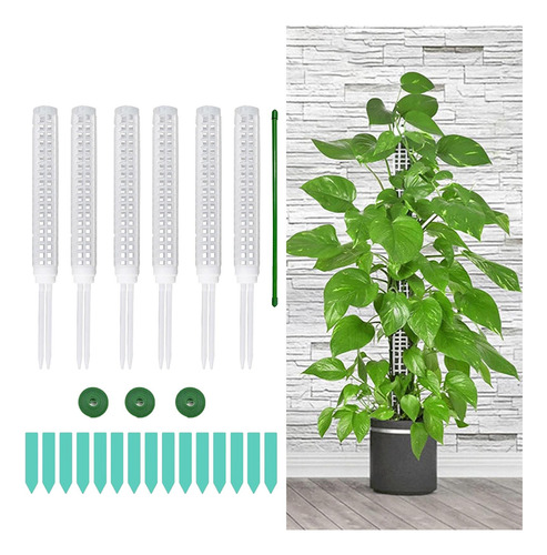 Poste De Para Plantas Soporte De Plantas Monstera Con