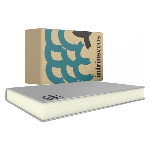 Livro Daqui Pra Baixo Jason Reynolds Especial Com Brindes E Revista Do Clube Intrínsecos