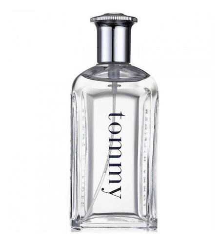 Perfume Importado Tommy Hilfiger Tommy Men Edt 100 Ml