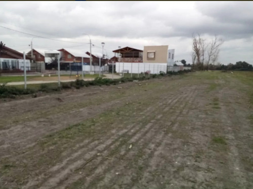 Imagen 10 de 13 de Agrícola En Venta En Chillán
