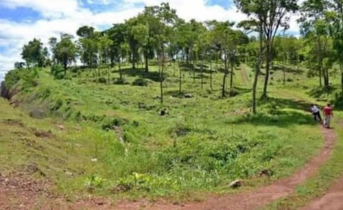 Imagen 6 de 6 de Tf496 Z/san Ignacio