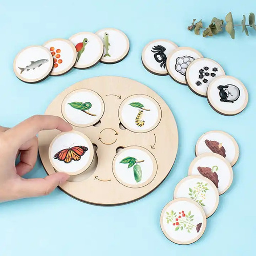 Rompecabezas Ciclo De La Vida Circle Of Life Playful Minds