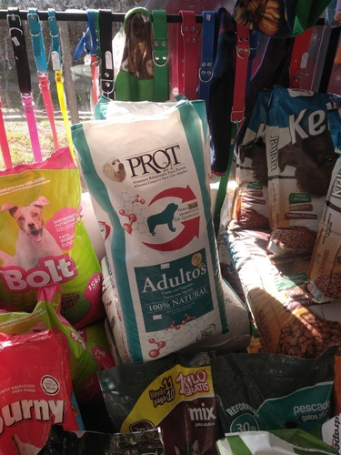 Imagen 9 de 10 de Comida Perros Sabrositos Muy Recomendada Viene Con Premios