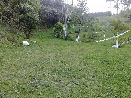 Imagem 4 de 4 de Oportunidade Chácara Em Santo Antonio Do Pinhal - Cs330