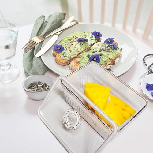 Contenedor De Queso Para Refrigerador Con Esfera De Fecha, C