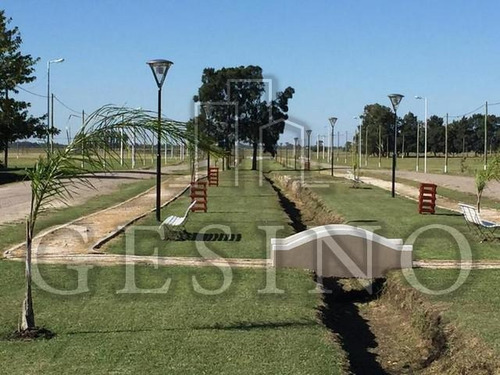 Imagen 3 de 11 de Terreno - Nueva Hermosura