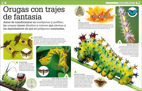 Ãâ¡increãâble Pero Cierto! Animales, De Varios Autores,. Editorial Dk, Tapa Dura En Español