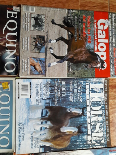 Lote De 10 Revistas De Caballos