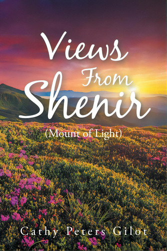 Views From Shenir (mount Of Light), De Peters Gilot, Cathy. Editorial Christian Faith Pub Inc, Tapa Blanda En Inglés