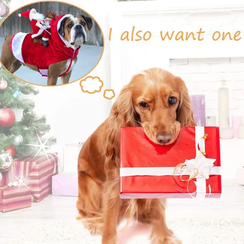 A Traje De Equitación De Santa Claus Ropa For Mascotas
