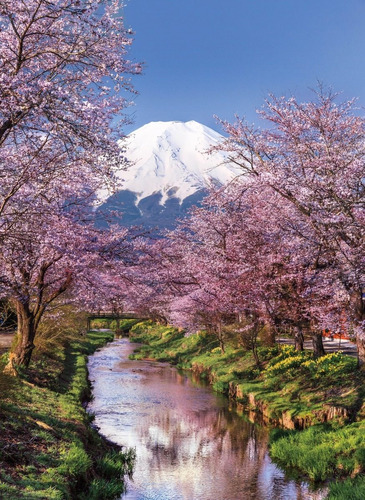 Rompecabezas 1000pcs Clementoni Fuji Mountain 39418