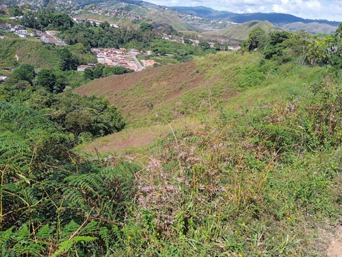 Imagen 11 de 13 de Terreno En Venta 13.5 Hectareas En Las Guamas Los Teques