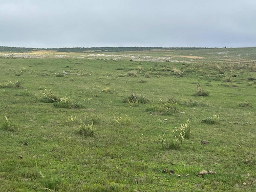 Imagen 11 de 21 de 270 Hectareas Ganaderas A 28 Km De Minas 3300 Dólares La Hec