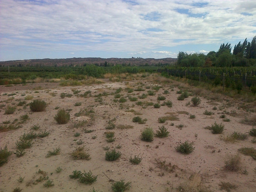 Imagen 6 de 8 de 8.5 Ha Cruz De Piedra - P/loteo