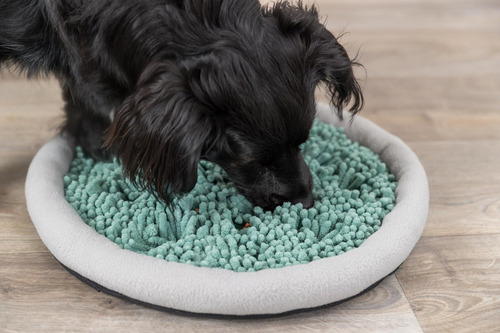 Plato Para Olfatear Trixie Alfombrilla Juego Interactividad Verde