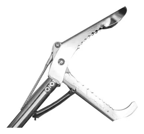 Para Abrazadera Plegable En Forma De Serpiente De Acero Inox