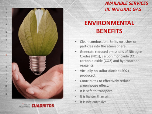 Celaya Nave Rentada En Usd Parque Industrial Gto 090625