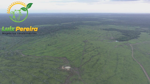 Imagem 6 de 15 de Fazenda À Venda Em Goianésia Do Pará - Pa - 3.485 Hectares (dupla Aptidão) - 1836