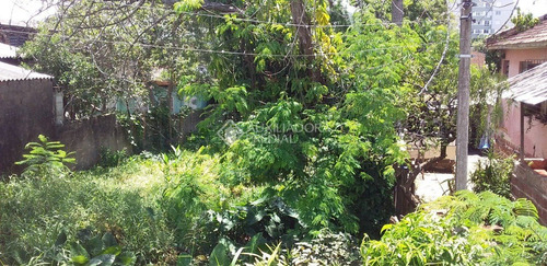 Imagem 5 de 9 de Terreno - Camaqua - Ref: 328307 - V-328307