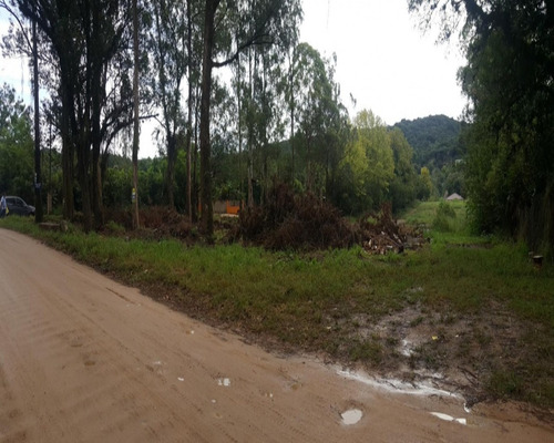 Imagem 4 de 6 de Terreno - T0664 - 32350886