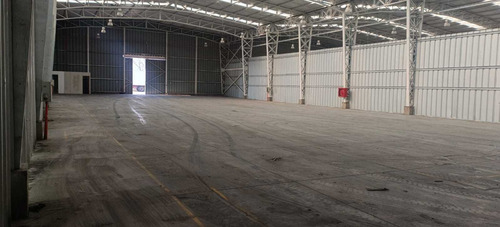 Bodega C: 540 M2 (100880)