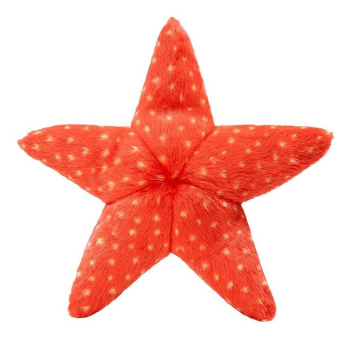 Estrella De Mar De Pelusa Y Toba