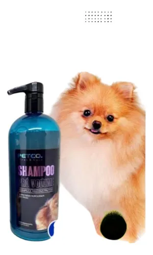 10KB 2001 null null null 3 3 3 3 1 2003 null x0m88x6THBt4MM
