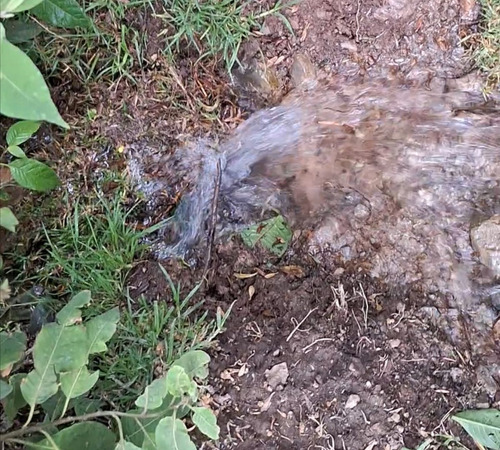 4.2 Hectáreas Con Manantial A 40 Minutos De Valle