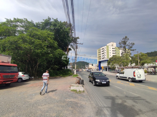Imagem 7 de 13 de Ótimo Terreno Comercial /residencial No Bairro Velha Central - 3052462v