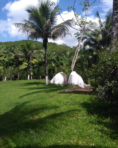 Imagem 13 de 30 de Sítio - 0194 - 32820423