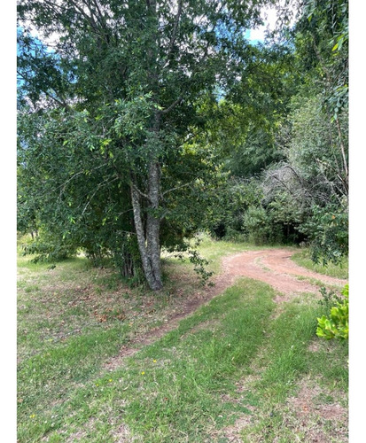 Venta / 2 Parcelas Molco - Una Con Casa / Ambas O Separadas