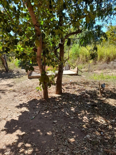 Imagem 6 de 14 de Chácara Com Água Em Aparecida De Goiânia
