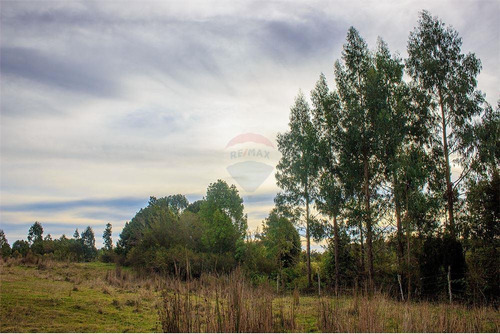 Imagen 1 de 30 de Hermosa Parcela, Ancud Chiloé