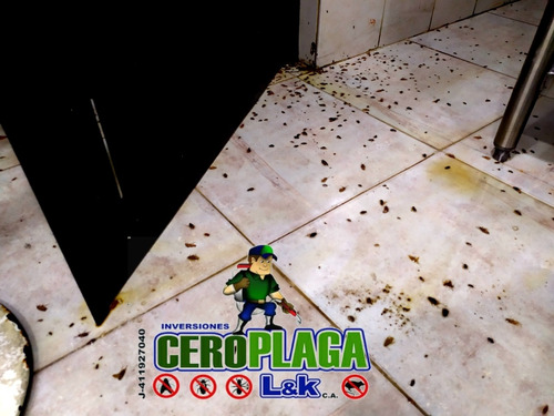 Imagen 2 de 5 de Servicion Fumigaciones Chiripas Cucarachas Termitas Roedores