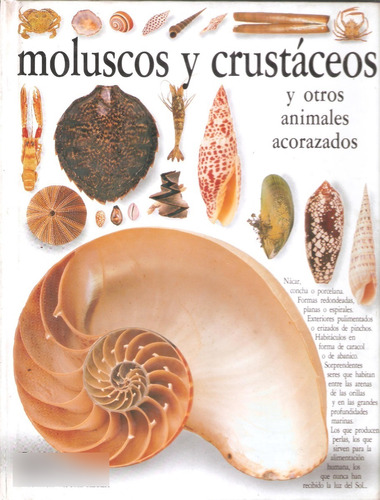 Moluscos Y Crustáceos, Biblioteca Visual Altea