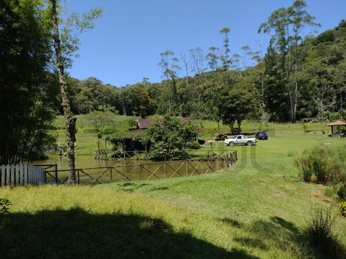 Imagem 3 de 30 de Belíssimo Sítio, Com Excelente Topografia E Rico Em Água - 52 - 70636338