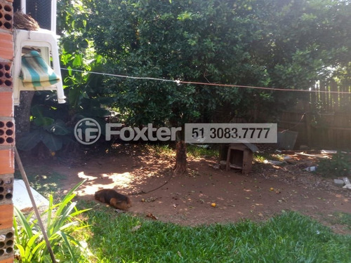 Imagem 8 de 8 de Terreno, 300 M², São Vicente - 190786