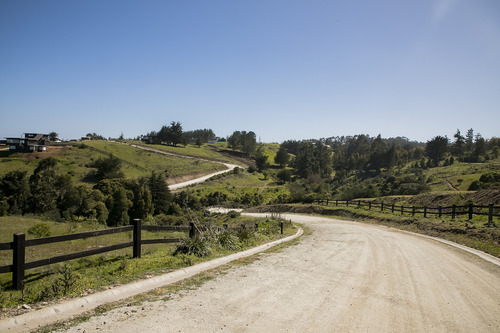Reserva Natural En Punta De Lobos